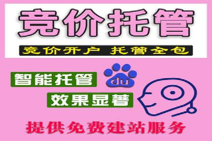 信息流广告代运营公司案例解析：策略与效果